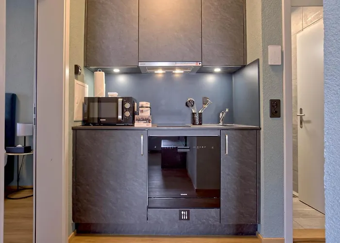 Bank House Xl 304 - Griwa Rent Daire Interlaken